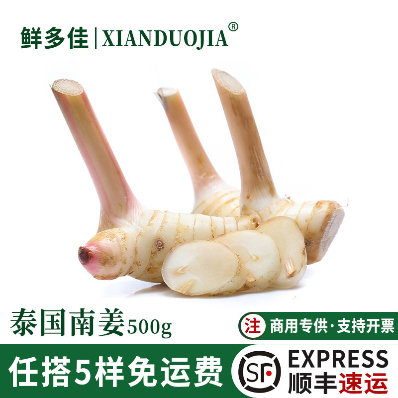 新鲜南姜泰国南姜500g调味香料