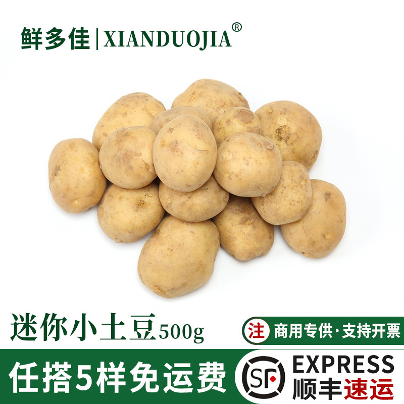 云南新鲜马铃薯500g农家迷你小土豆自产现挖农家自种洋芋黄心土豆