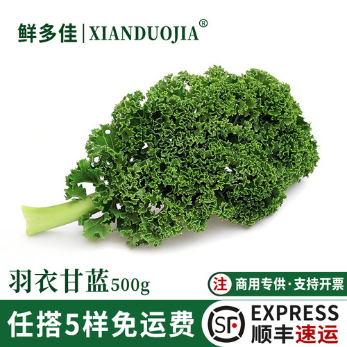 新鲜羽衣甘蓝嫩叶片kale健身榨汁