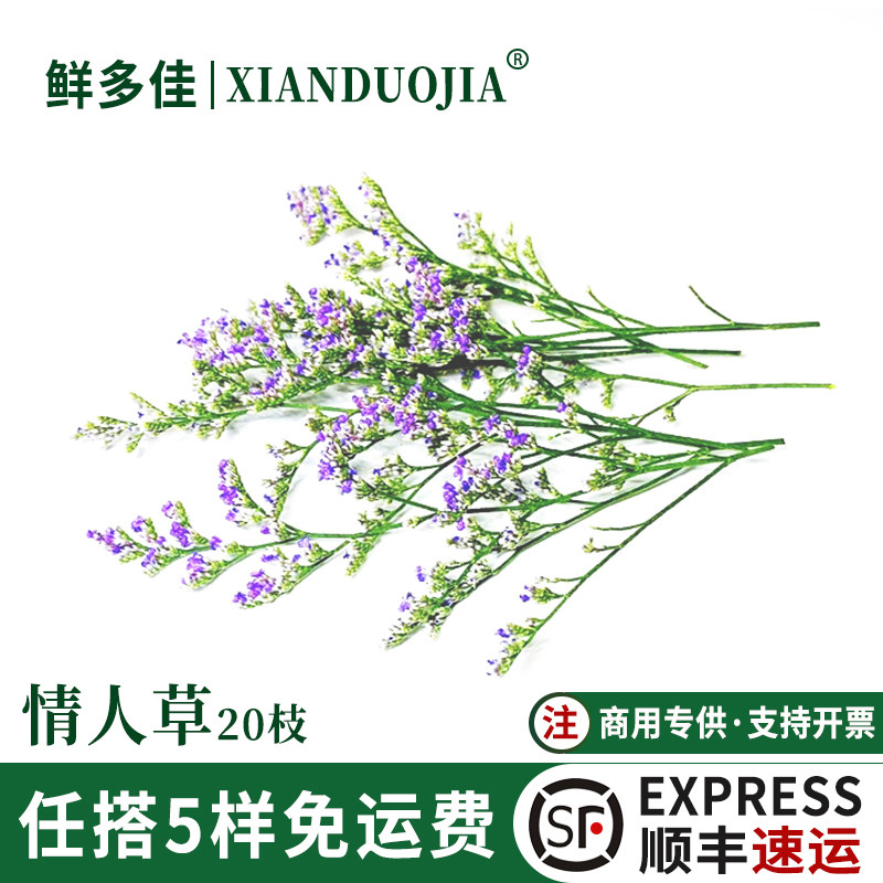 情人草新鲜情人花鲜花盘饰花装饰