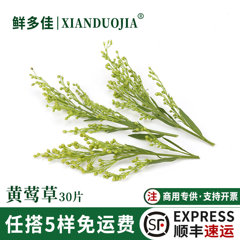 新鲜黄莺 黄莺草非情人草日料西餐摆盘烘焙蛋糕装饰花草绿植点缀