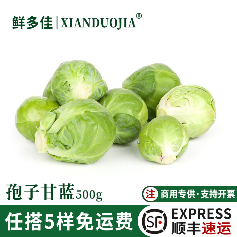 孢子甘蓝新鲜蔬菜小包菜小卷心菜