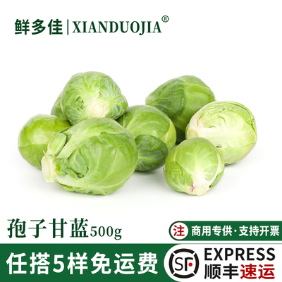孢子甘蓝新鲜蔬菜小包菜小卷心菜