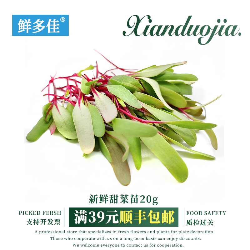 新鲜甜菜苗牛皮草食用微型芽苗蔬菜日料西餐摆盘装饰花草点缀芽苗