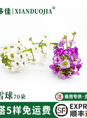 新鲜香雪球混合微型小花白色紫色鲜花西餐蛋糕装饰烘焙装饰点缀