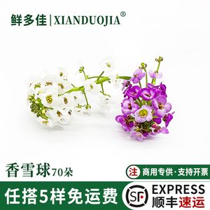 新鲜香雪球混合微型小花食用花