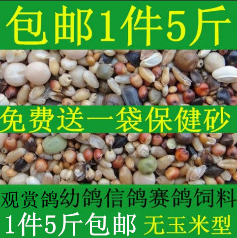 观赏鸽鸟食美顿宝鸽粮信鸽