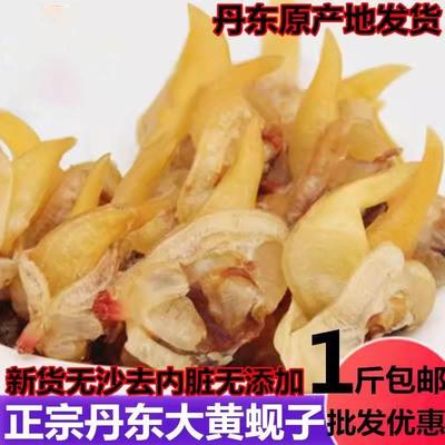 丹东港黄蚬子即食无沙去黄去内脏蛤蜊肉干花甲抖音同款大黄蚬子干