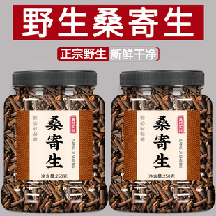 桑寄生中药饮片桑寄生茶中药材500g克野生梧州桑寄生正品正宗特级