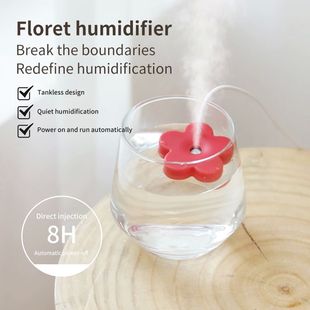with Filter Flower Portable Bottle USB Humidifier Aroma Mini