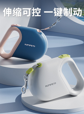 Pet leash - retractable, controllable, safety leash for walk