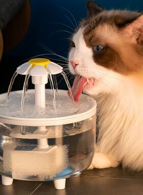 Cat water dispenser - Automatic filtration - Water feeder