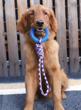 Supet Interactive Training Pet Toy Ring Spiked Ring Dog Teet