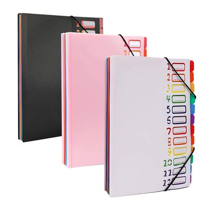 12 Pocket Expanding Project Sorter Heavy Duty Monthly Plasti