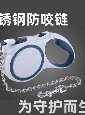 Pet leash - retractable, controllable, safety leash for walk