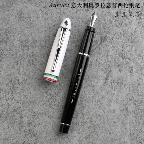 意大利奥罗拉钢笔送人礼品练字