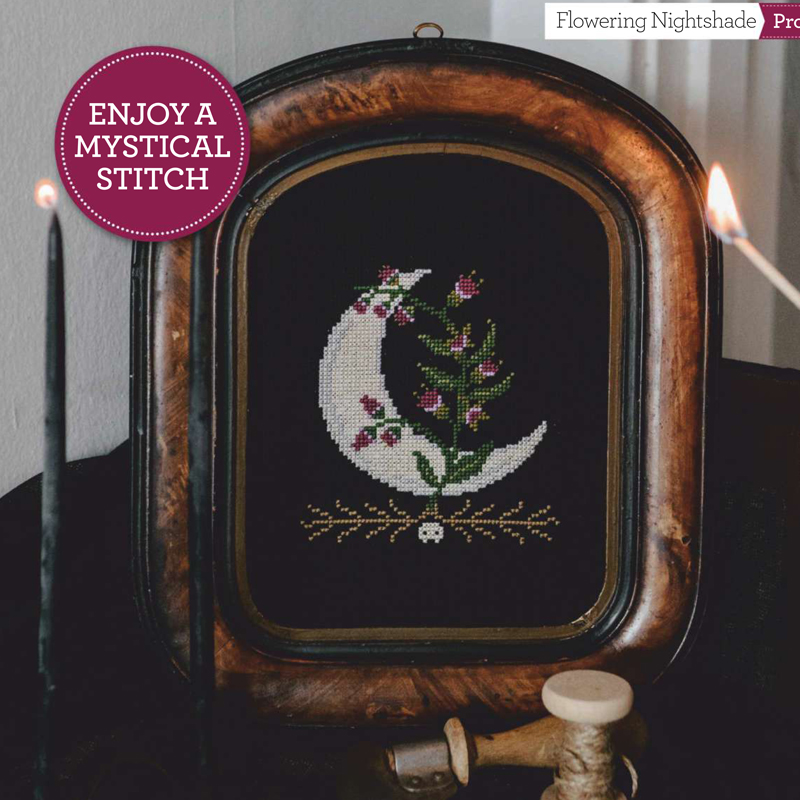 法国DMC十字绣套件风景 A1379月亮花 黑布 简单