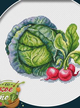 法国DMC十字绣套件 A933蔬菜系列卷心菜 28CT客厅装饰画新款
