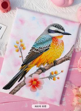 法国DMC十字绣套件装饰画 D182 小鸟 绚彩布印花高CT客厅
