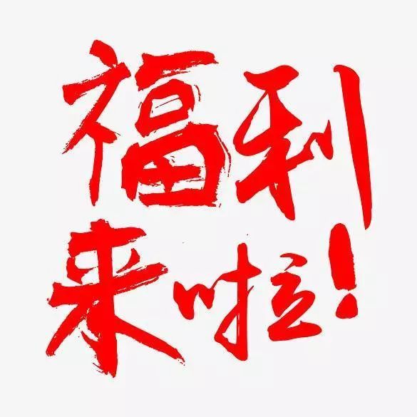 【包三代专用】思睿家！~设计师款 短袖 20512