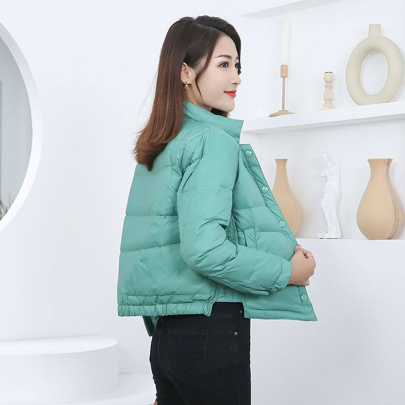 羽绒服女2025年新款白鸭绒轻薄立领短款显瘦修身文艺时尚秋冬外套