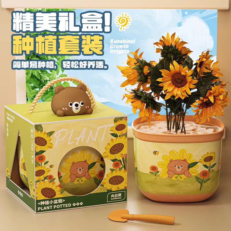 thepl种植观察植物生长