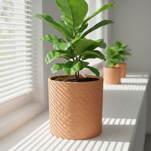 红陶花盆多肉盆兰花盆绿植透气特大号简约粗陶泥盆吸水育苗盆盆栽