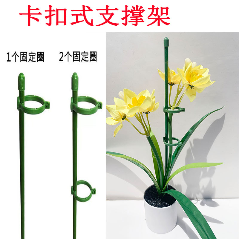 新款蝴蝶兰卡扣式支撑架