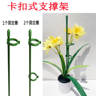 蝴蝶兰支架百合植物支撑杆固定支撑架多肉扶植花支架爬藤植物杆子