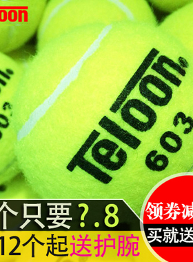 Teloon天龙网球 801 603 Rising 复活 高弹耐磨训练网球 袋装60个