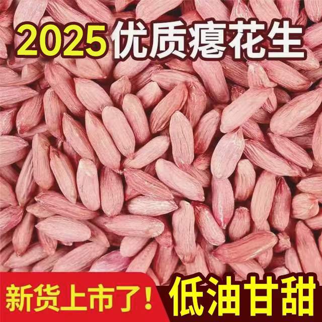 2025山东新鲜小瘪花生不带壳红衣仁新鲜瘪花生原味干瘪花生米零食