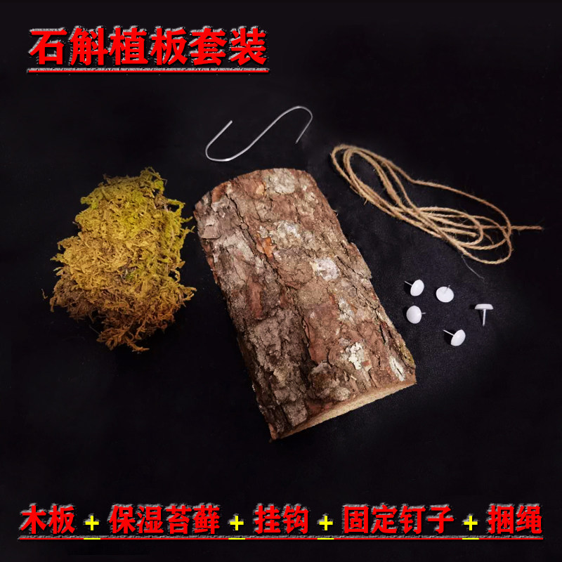 板植原木蛇木板石斛附生专用盆