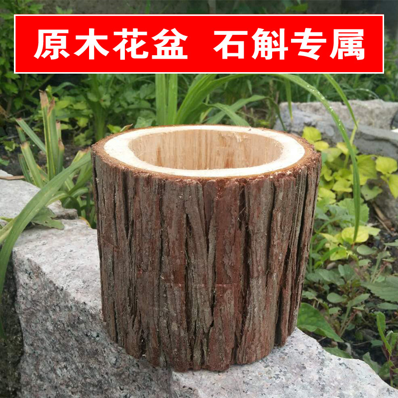 原木头花盆多肉花盆盆栽