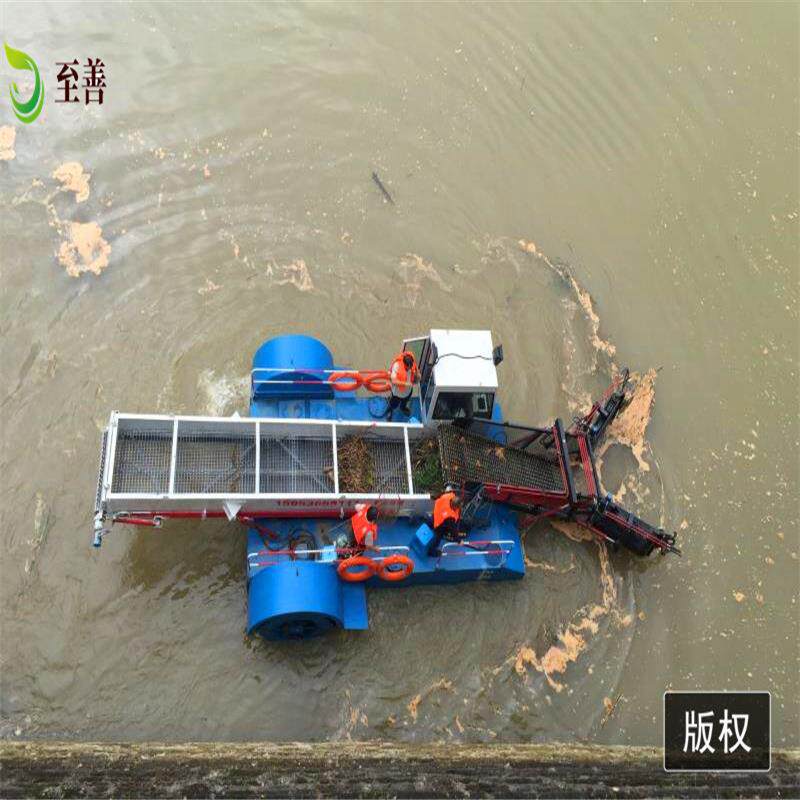 甘捞肃垃圾捞船 漂浮物清理打机械 源河道水草打清至善-120理收割