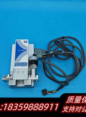 金流量计FFMS-4CW-935-P34#B 200kp.询价