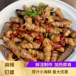 螺尊麻辣钉螺500克捞汁小海鲜海螺丝海丁海螺加热即食水产商用装