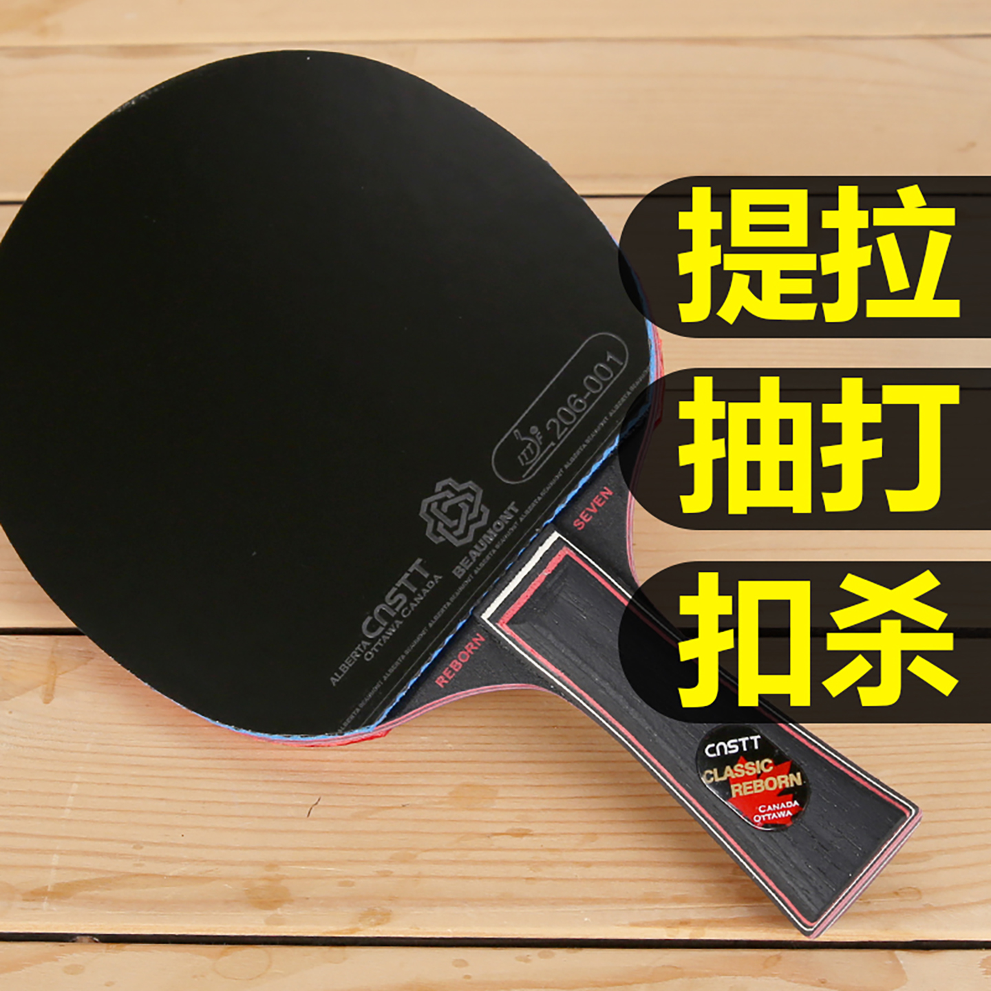 CnsTT凯斯汀DIY手工拍睿博7