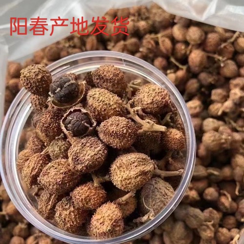 阳春正宗春砂仁干果养胃健脾煲汤蒸肉生晒碳焙春砂仁干果