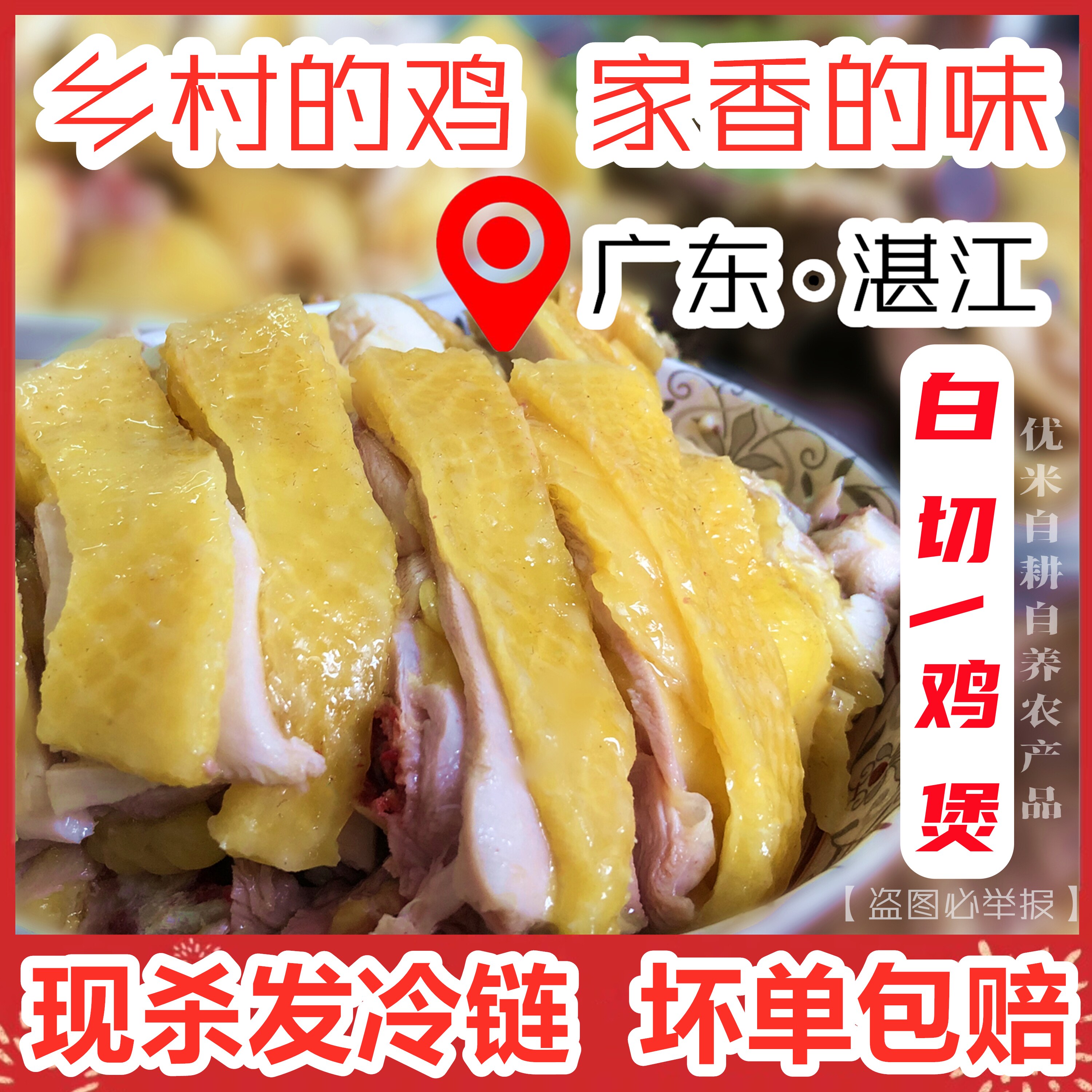 湛江鸡安铺阉鸡扇鸡桑拿莫氏鸡煲番鸭土鸡鸭走地鸡广东先发仔生鲜