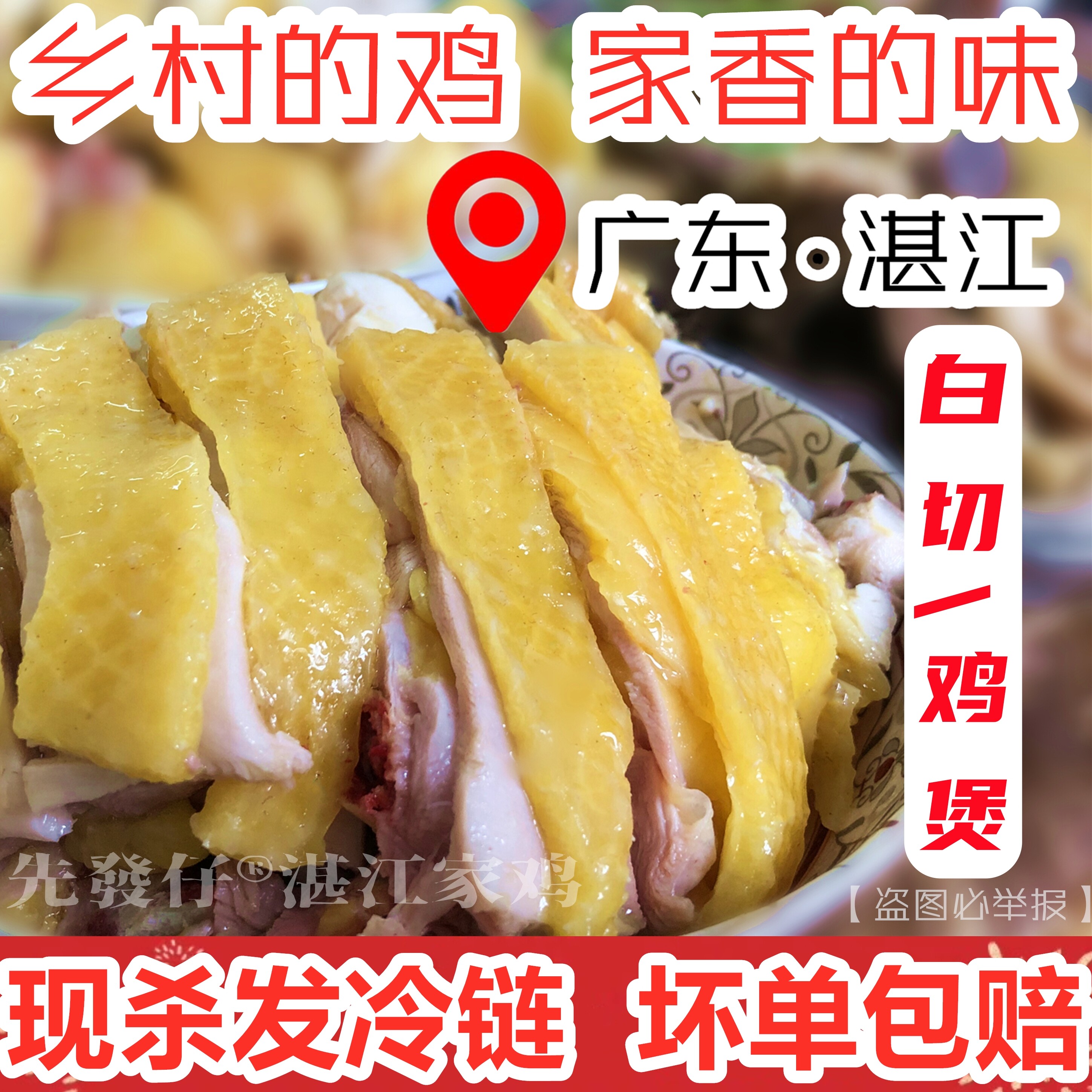湛江鸡安铺阉鸡扇鸡桑拿莫氏鸡煲番鸭土鸡鸭走地鸡广东先发仔生鲜