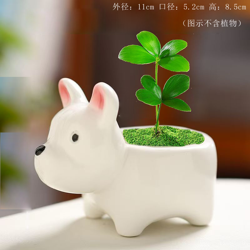 创意特价清仓卡通小狗可爱动物花盆多肉植物陶瓷盆大小号组合套装,鲜花速递/花卉仿真/绿植园艺,花盆,淘宝优惠券,粉丝福利购,淘宝优惠卷