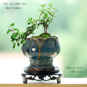 特价工厂直销复古荷花小老桩陶瓷粗陶小陶盆清莲花盆桌面花盆仓