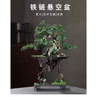 铁艺悬挂式花盆创意天空之城家居客厅装饰文竹多肉花盆大号造景盆