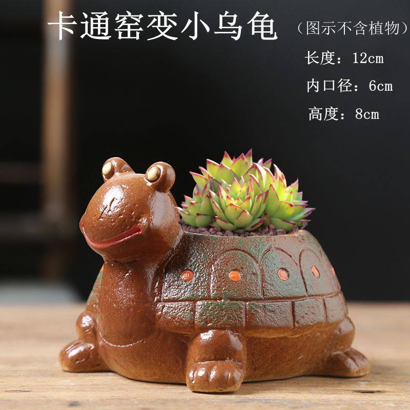 创意可爱小乌龟花盆个性多肉植物陶瓷盆卡通幼儿园小朋友儿童盆栽,鲜花速递/花卉仿真/绿植园艺,花盆,淘宝优惠券,粉丝福利购,淘宝优惠卷
