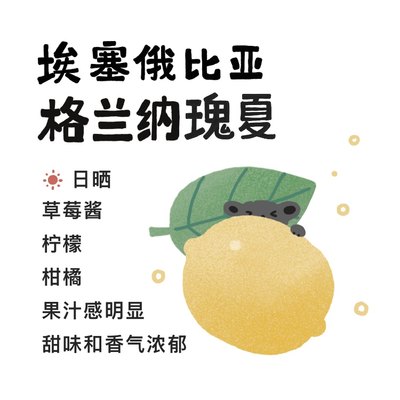 唐水先生瑰夏埃塞俄比亚咖啡豆