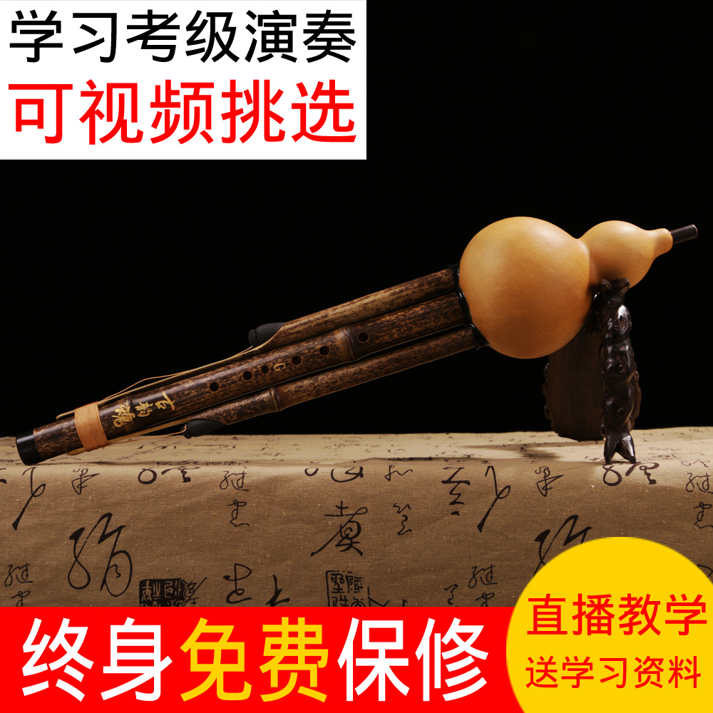 调滇南古韵魂大人小学生乐器D小GF调B降调C紫竹演奏型葫芦丝