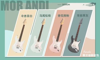 法丽达Farida F-2020 新手入门单单双摇滚电吉他