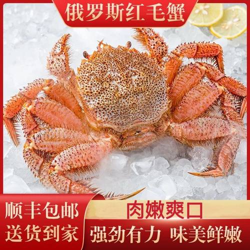 红毛蟹活发大红毛蟹肉质细嫩
