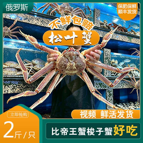鲜活松叶蟹鲜甜细嫩美味