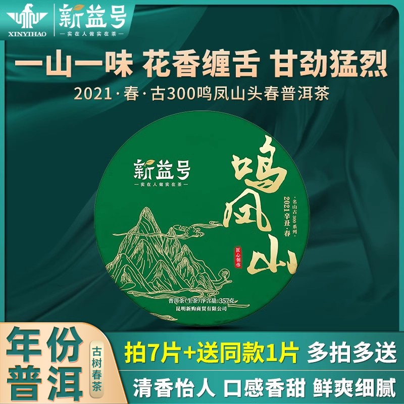 新益号2021新茶春茶古鸣凤山古树